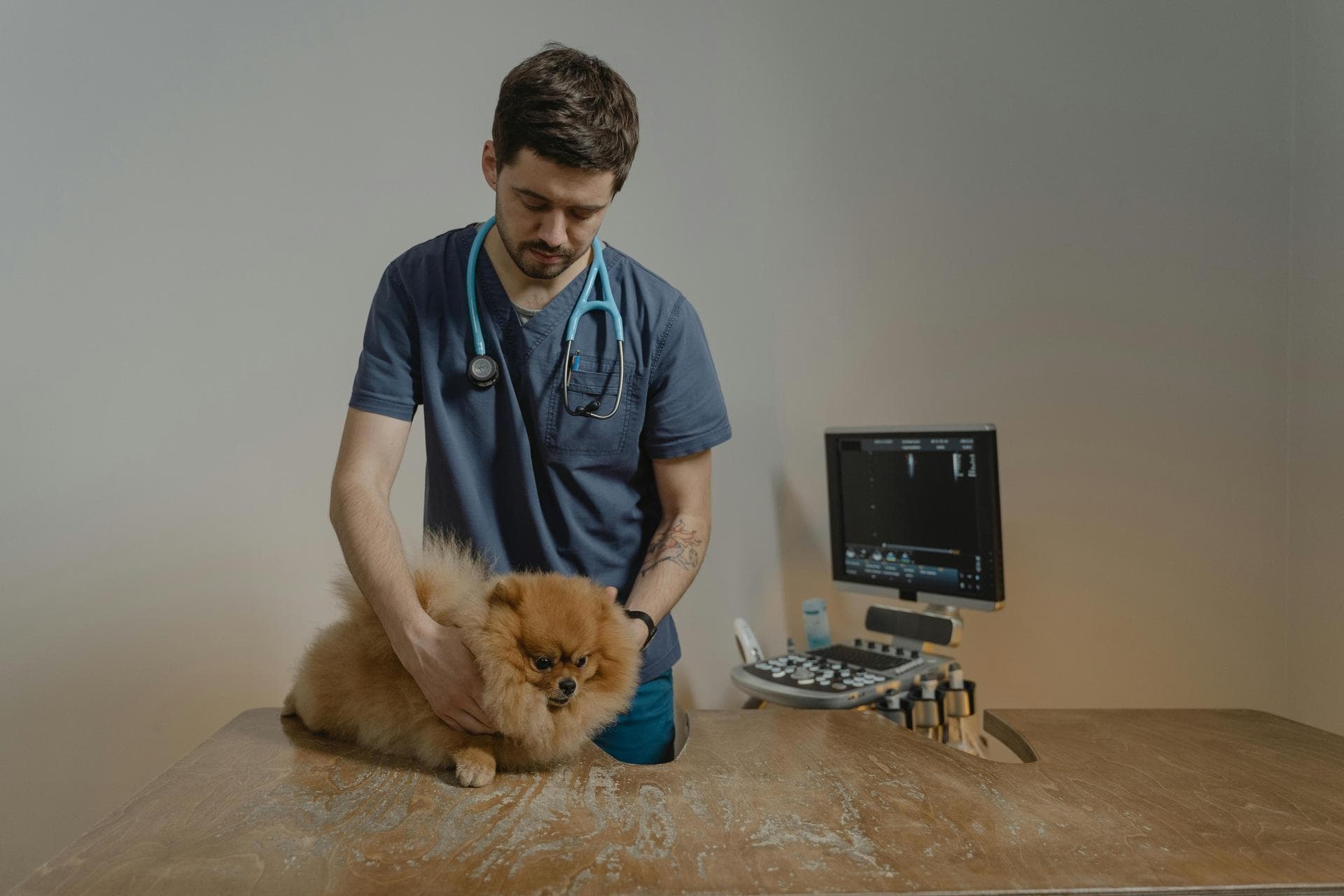 Dog & Cat Vets in Nampa